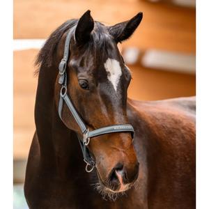 Licol pour cheval Waldhausen Atheltic image-1