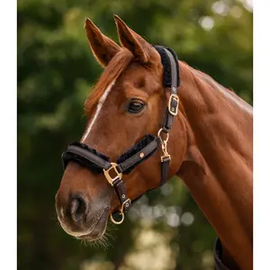 Conjunto de brida y soga para caballo con pelo Waldhausen Phoenix image-1