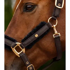Conjunto de brida y soga para caballo con pelo Waldhausen Phoenix image-2