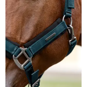 Καπίστρι για άλογο Waldhausen Soft Touch image-2