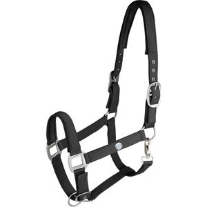 Licol pour cheval Waldhausen Trinidad