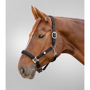 Licol pour cheval Waldhausen Trinidad image-1
