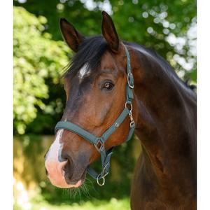 Licol pour cheval Waldhausen Trinidad image-1