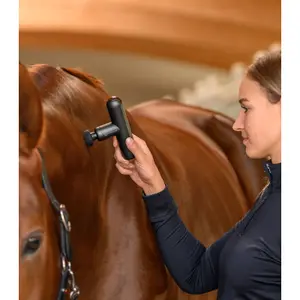 Massageapparat för häst Waldhausen PocketRelax image-3