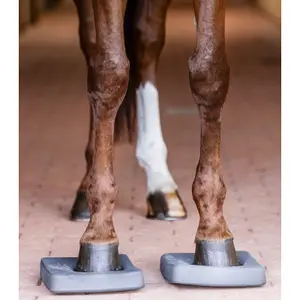 Soles Waldhausen Health + Care Balance image-3