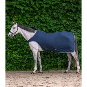 Walker Blanket Waldhausen Economic