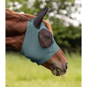 Maska antysmogowa dla koni Waldhausen Puck image-1
