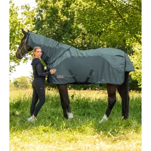 Waterproof fly sheet for horses Waldhausen image-0