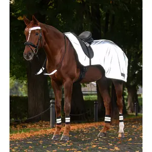 Manta riñonera para caballo Waldhausen Reflex