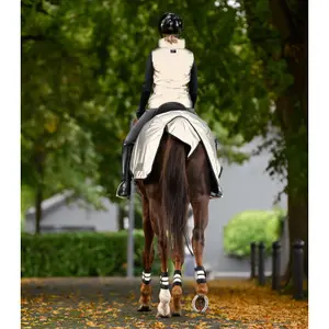 Manta riñonera para caballo Waldhausen Reflex image-6