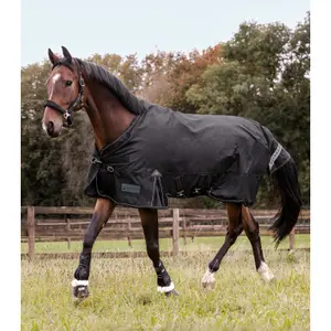 Mehrschichtige Außenabdeckung für Pferde Waldhausen Scandic 250/100g image-2