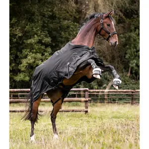 Mehrschichtige Außenabdeckung für Pferde Waldhausen Scandic 250/100g image-3