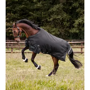 Mehrschichtige Außenabdeckung für Pferde Waldhausen Scandic 250/100g image-4
