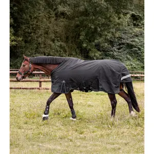 Mehrschichtige Außenabdeckung für Pferde Waldhausen Scandic 250/100g image-5