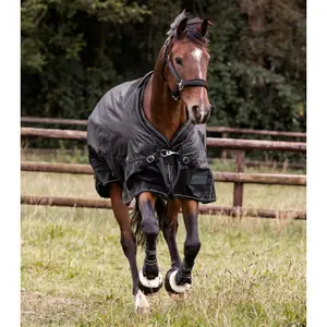 Mehrschichtige Außenabdeckung für Pferde Waldhausen Scandic 250/100g image-6