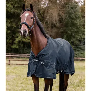 Mehrschichtige Außenabdeckung für Pferde Waldhausen Scandic 250/100g image-2