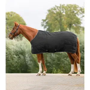 Stable Blanket Waldhausen Economic 100g image-1