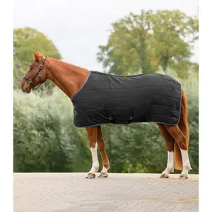 Stable Blanket Waldhausen Economic 300g image-1