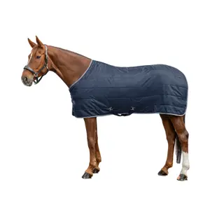 Stable Blanket Waldhausen Economic 200g image-0