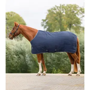 Stable Blanket Waldhausen Economic 200g image-1
