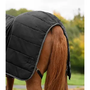 Stable Blanket Waldhausen Economic 300g image-4