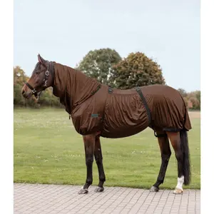 Insekt-/sommerdækken til heste Waldhausen Basic image-0