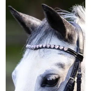 Cabezada de montar Waldhausen Happy Hearts image-4