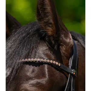 Frontaal voor paard Waldhausen Glam image-2