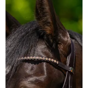 Frontal for horse Waldhausen Glam image-3