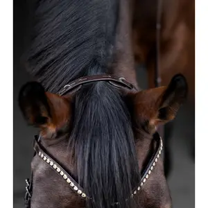 Hoofdstellen voor paarden Waldhausen Relaxation image-4