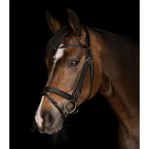 Zaumzeug für Pferde Waldhausen X-Line Charmbit image-3