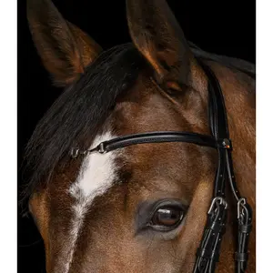 Zaumzeug für Pferde Waldhausen X-Line Charmbit image-4