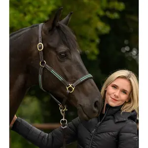 Leather halter for horses Waldhausen X-Line Oxford image-2