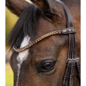 Frontaal voor paard Waldhausen X-Line Shine image-3