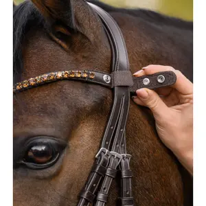 Frontaal voor paard Waldhausen X-Line Shine image-2