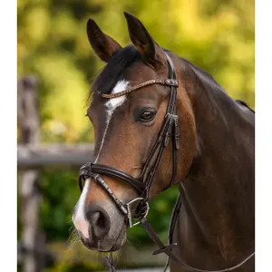 Frontaal voor paard Waldhausen X-Line Shine image-1