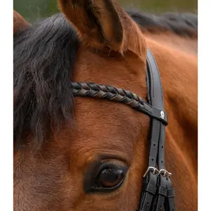Frontal for horse Waldhausen X-Line Braided image-1