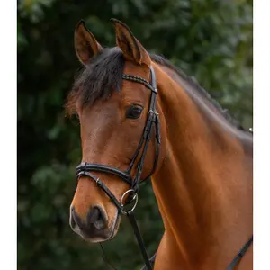 Frontal for horse Waldhausen X-Line Braided image-2
