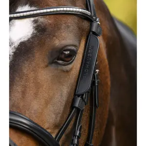 Blinkers for horses Waldhausen image-2