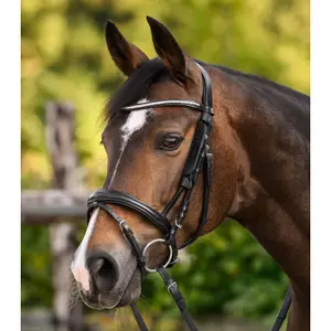 Blinkers for horses Waldhausen image-3