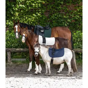 Tapis de CSO Waldhausen Felix image-1