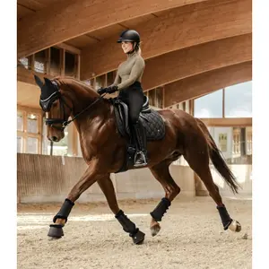 Korte paardenmuts Waldhausen Phoenix image-2