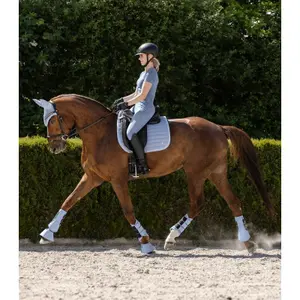 Saddle pad for horses Waldhausen Rimini image-2