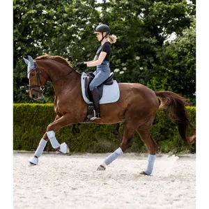 Bandes de polo pour cheval Waldhausen Rom (x4) image-2
