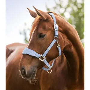 Halter for horse Waldhausen Rome image-1
