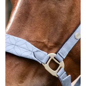 Halter for horse Waldhausen Rome image-2