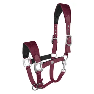 Halter for pony Waldhausen Rome image-0