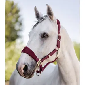 Halter for pony Waldhausen Rome image-1