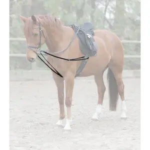 Reins for horses Waldhausen X-Line image-1