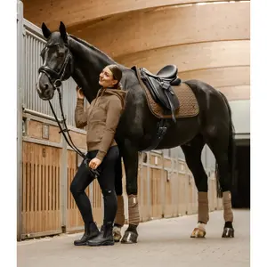 Polo strips for horses Waldhausen Basic (x4) image-3
